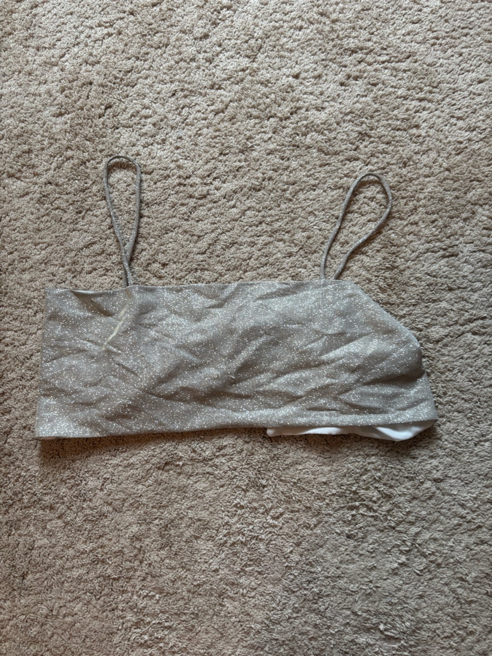 Sparkle Silver Crop Top with Spaghetti Straps